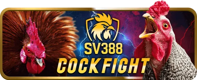 Bản đồ vị trí heloo88